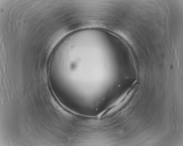 X0000070241468200606051113