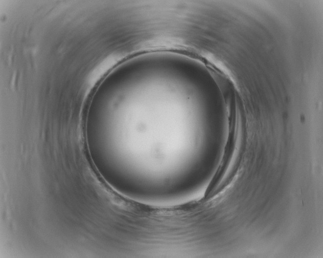 X0000070241469200606051112