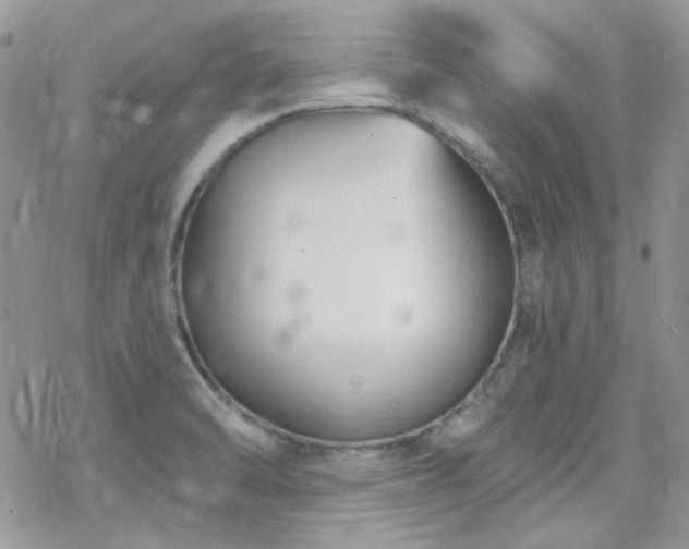 X0000070241470200606051112