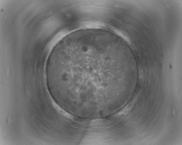 X0000070241471200606051112