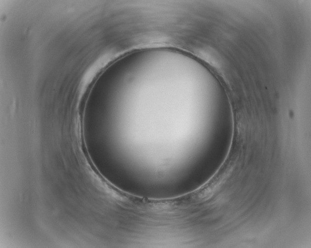 X0000070241472200606051112