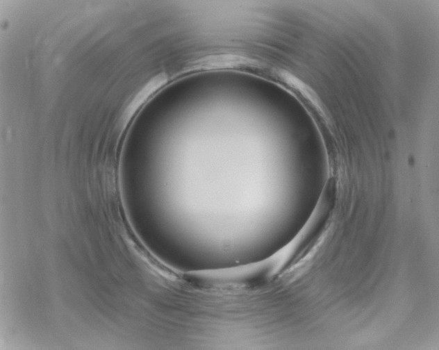 X0000070241473200606051112