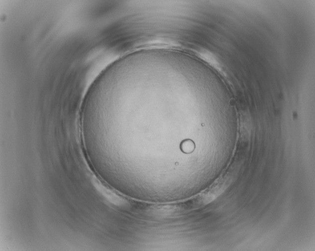 X0000070241474200606051112