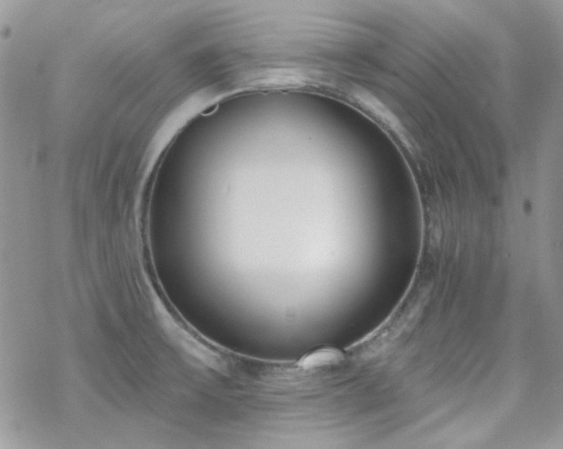 X0000070241475200606051112