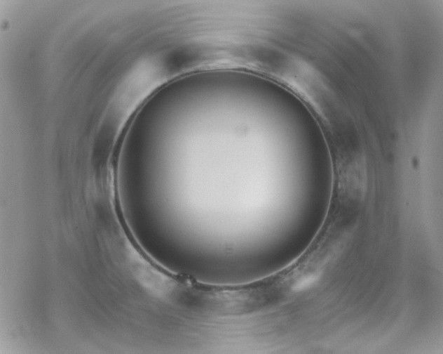 X0000070241476200606051112