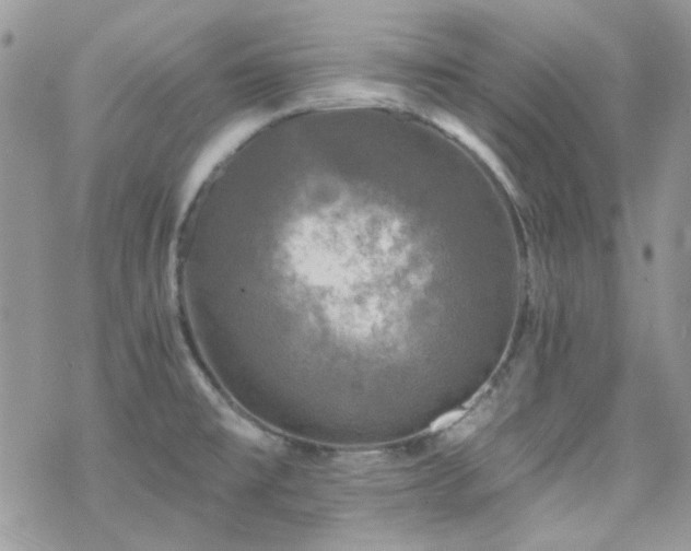 X0000070241477200606051112