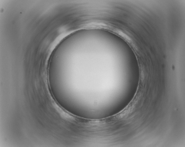 X0000070241478200606051112