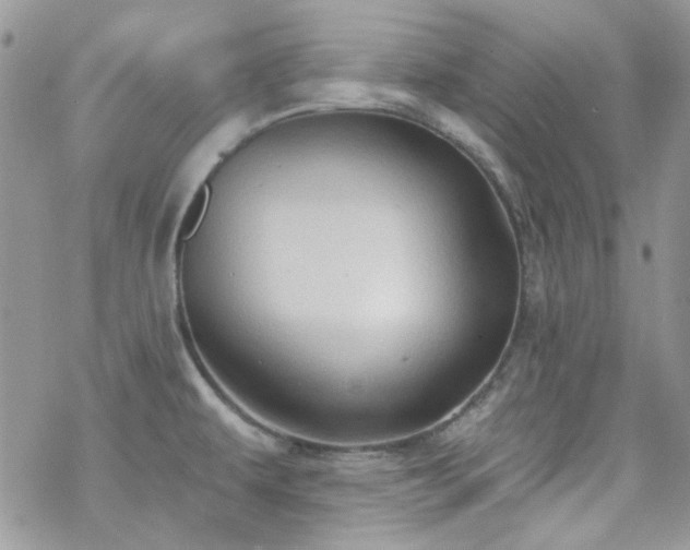 X0000070241479200606051112