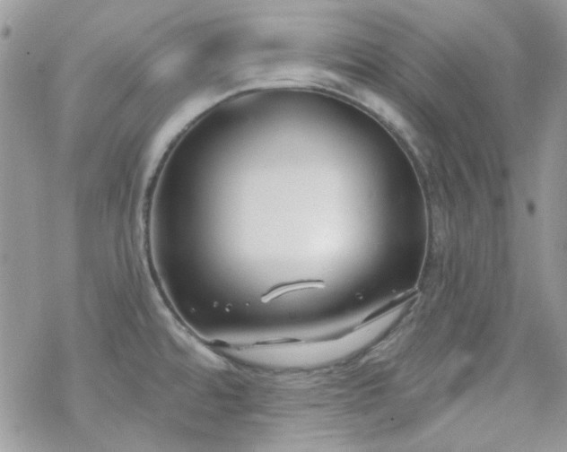 X0000070241480200606051112