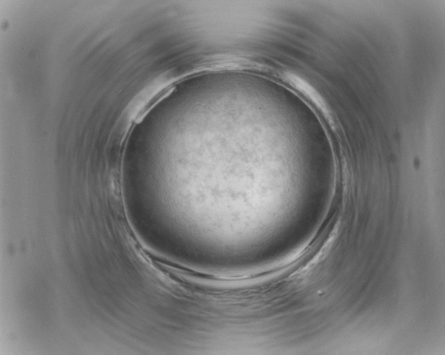 X0000070241481200606051112