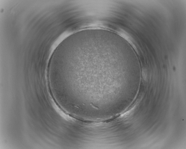 X0000070241482200606051112