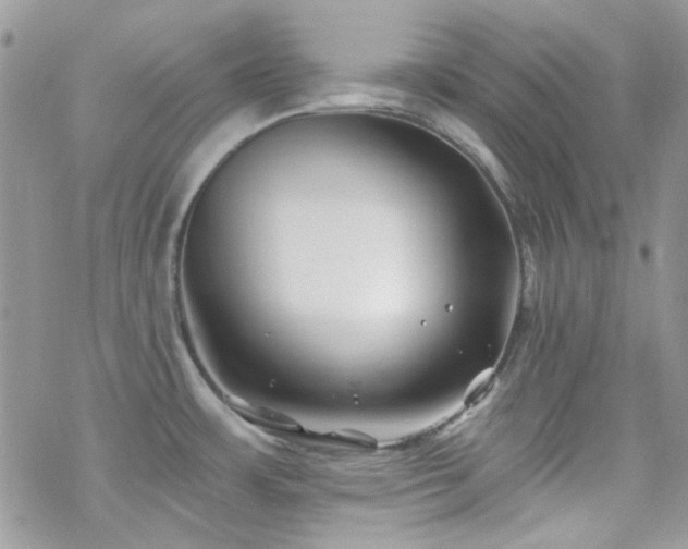 X0000070241483200606051112