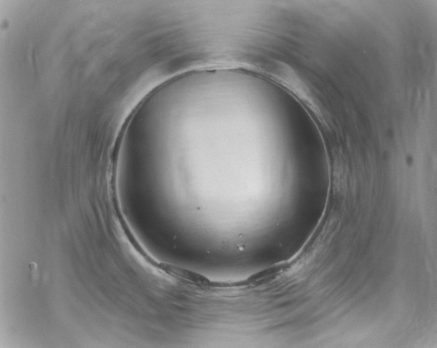 X0000070241484200606051112