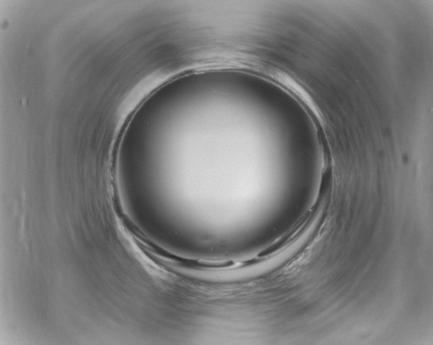 X0000070241485200606051112