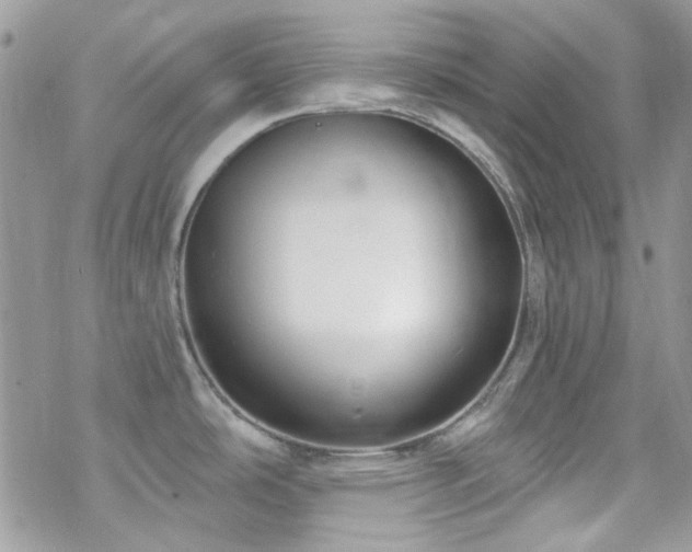 X0000070241486200606051112