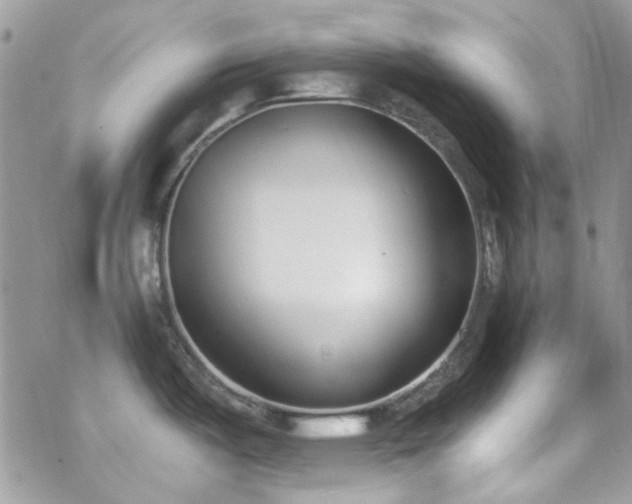 X0000070241487200606051112