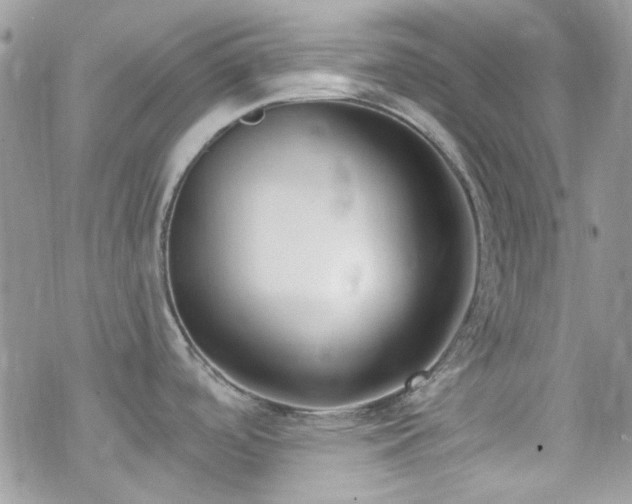 X0000070241488200606051112