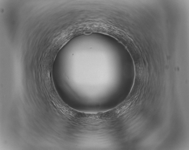 X0000070241489200606051111