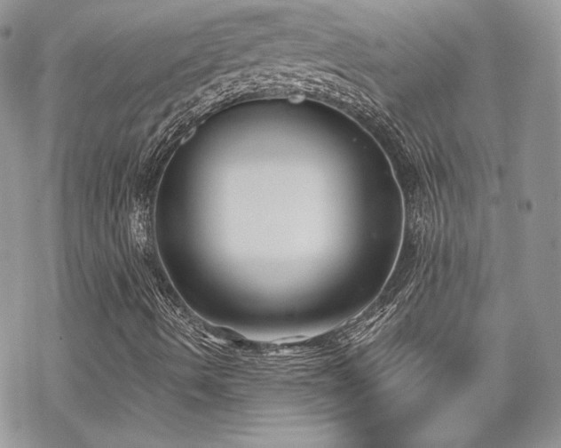 X0000070241490200606051111