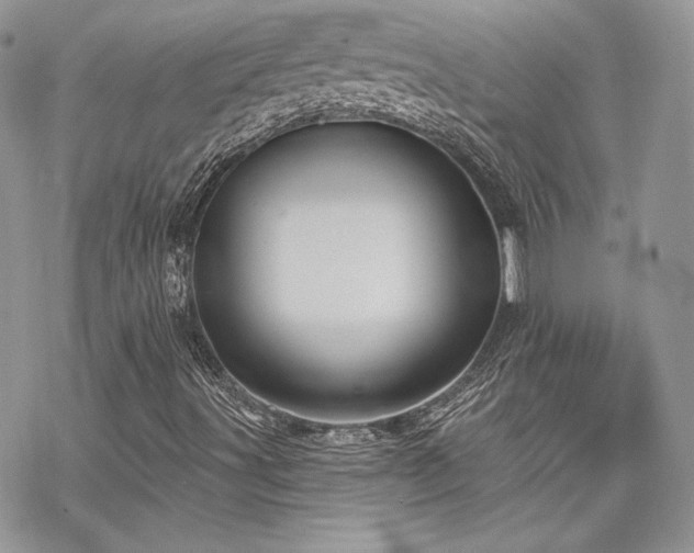 X0000070241491200606051111