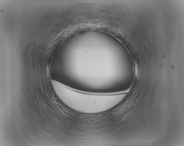 X0000070241492200606051111