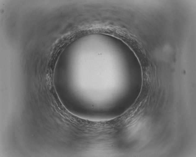 X0000070241493200606051111