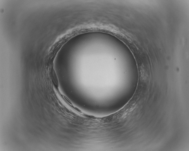 X0000070241494200606051111