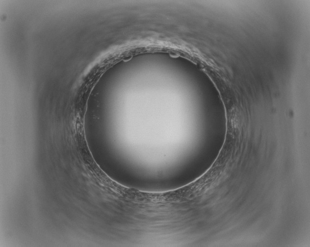 X0000070241495200606051112