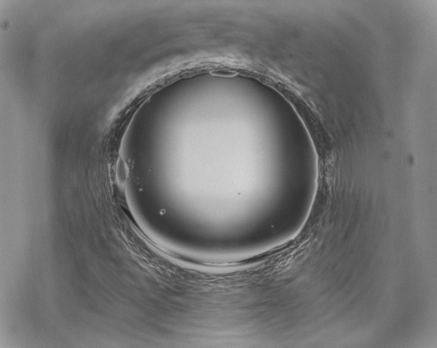 X0000070241496200606051112