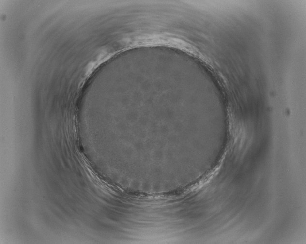 X0000070241497200606051112