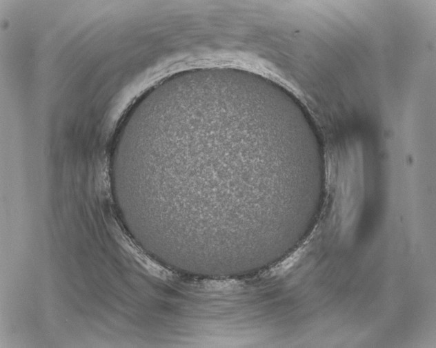 X0000070241498200606051112