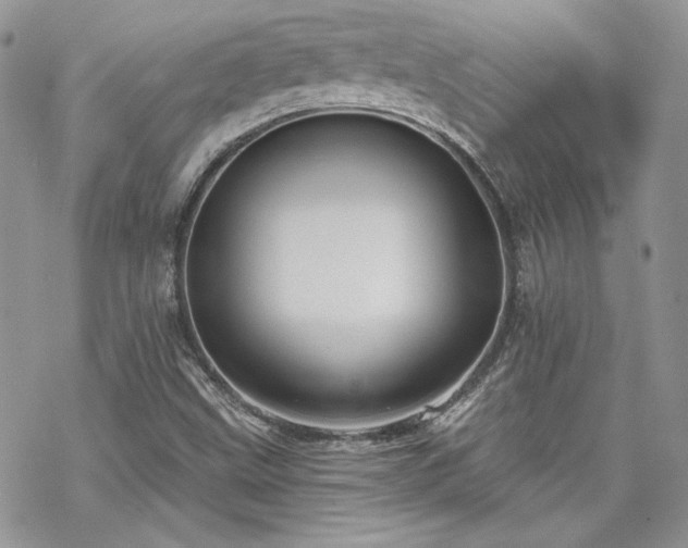 X0000070241499200606051112