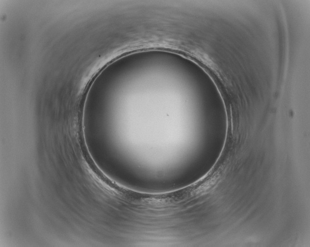 X0000070241500200606051112