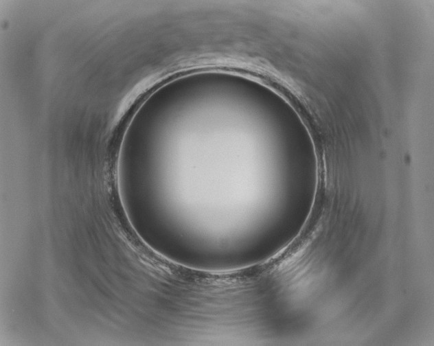 X0000070241501200606051112