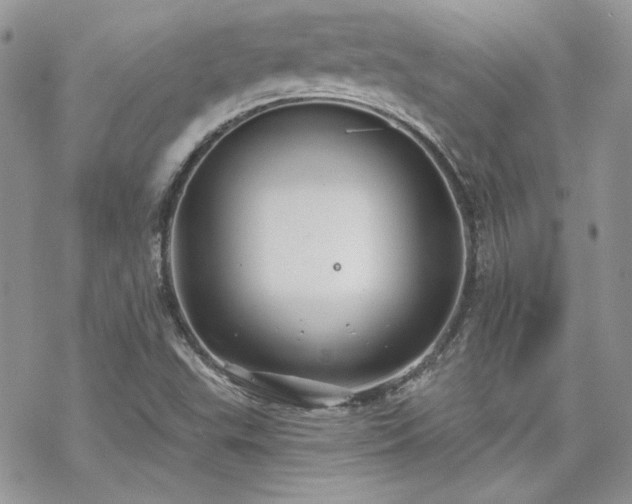 X0000070241503200606051112