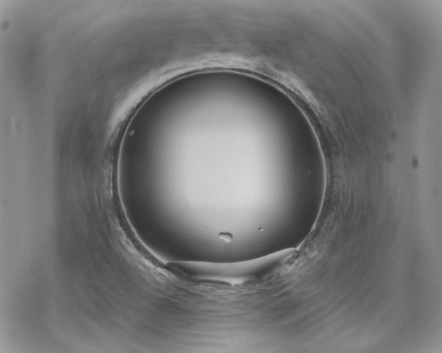 X0000070241504200606051112