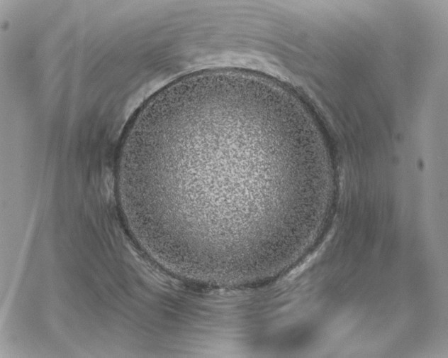 X0000070241505200606051112