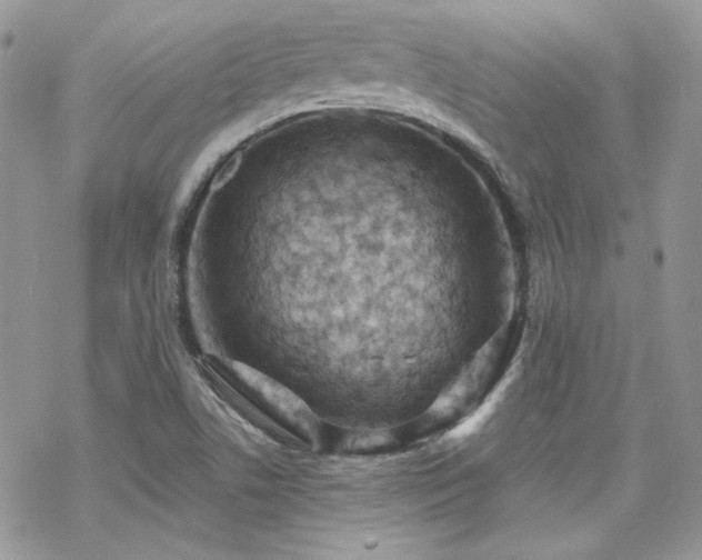 X0000070241506200606051112