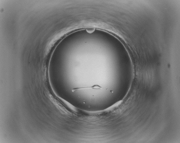 X0000070241507200606051112