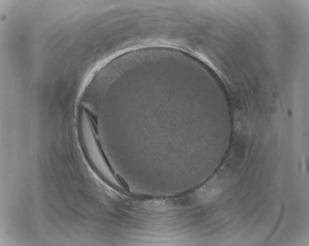 X0000070241508200606051112