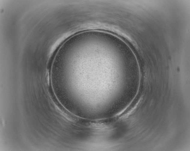 X0000070241509200606051112