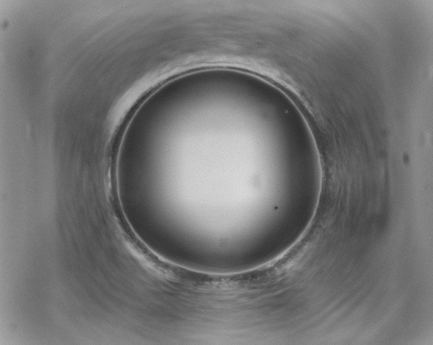 X0000070241511200606051112