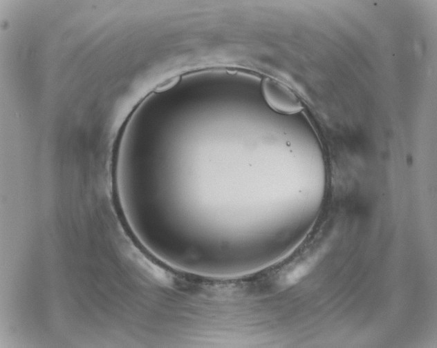 X0000070241512200606051112