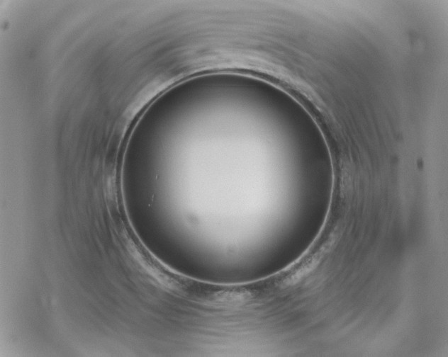 X0000070241513200606051112