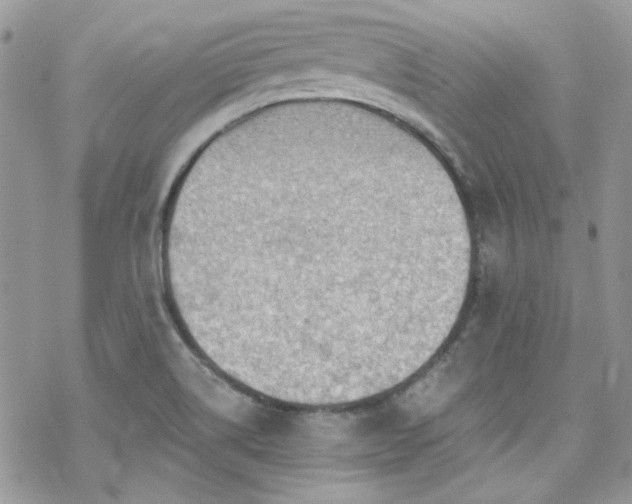 X0000070241514200606051112