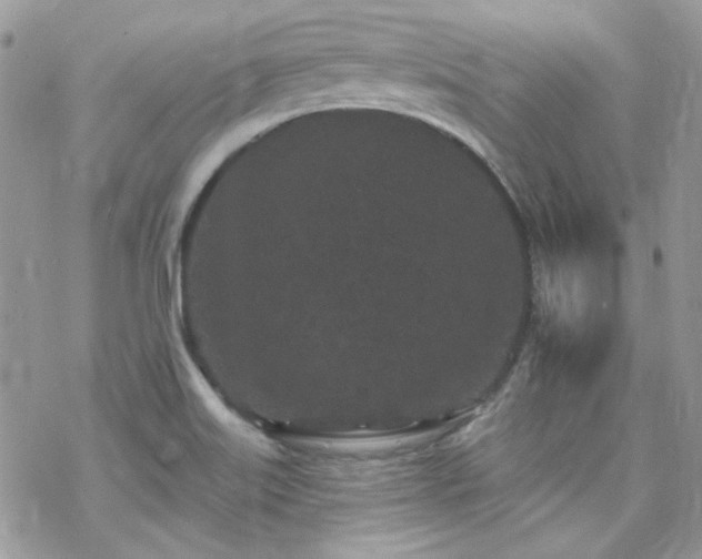 X0000070241515200606051112