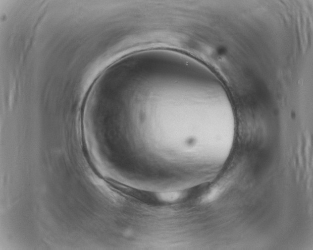 X0000070241516200606051112