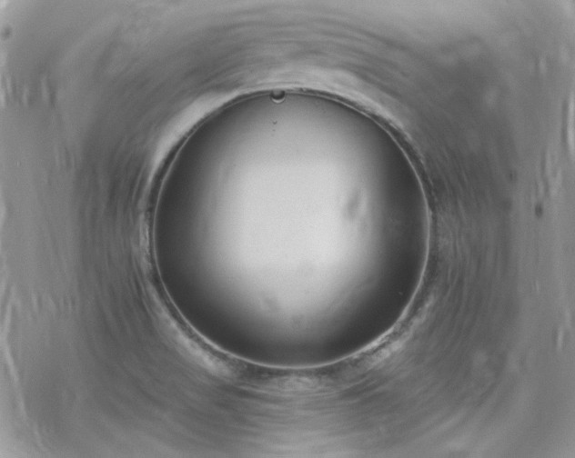 X0000070241517200606051112