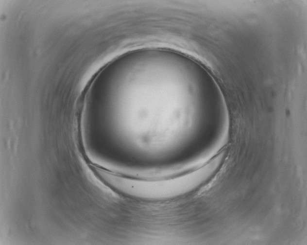 X0000070241518200606051112