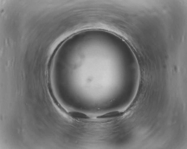 X0000070241519200606051112